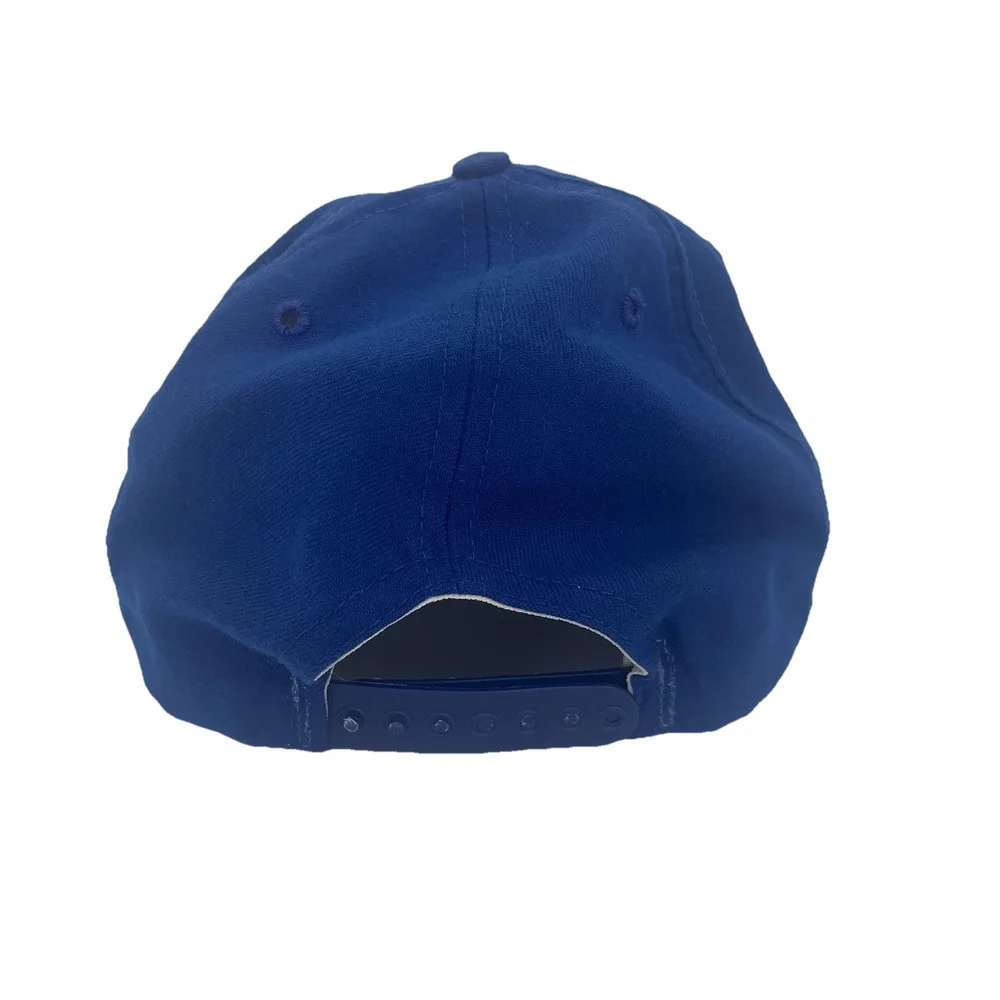 Vintage Trucker Hat Blue Snapback American Bluebird Society New Era DuPont Visor